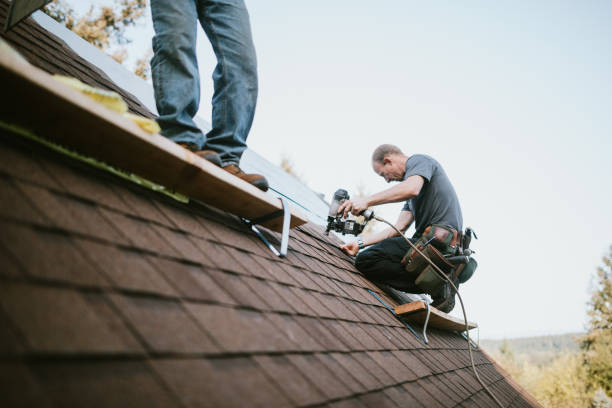 Roof Gutter Cleaning in Fairburn, GA